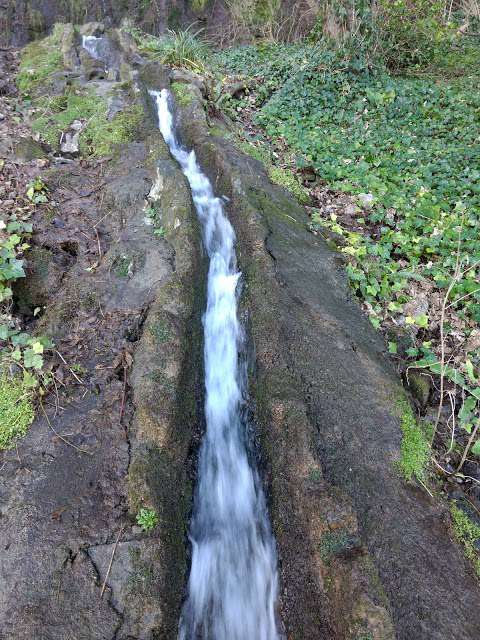 Babbacombe Waterfall photo